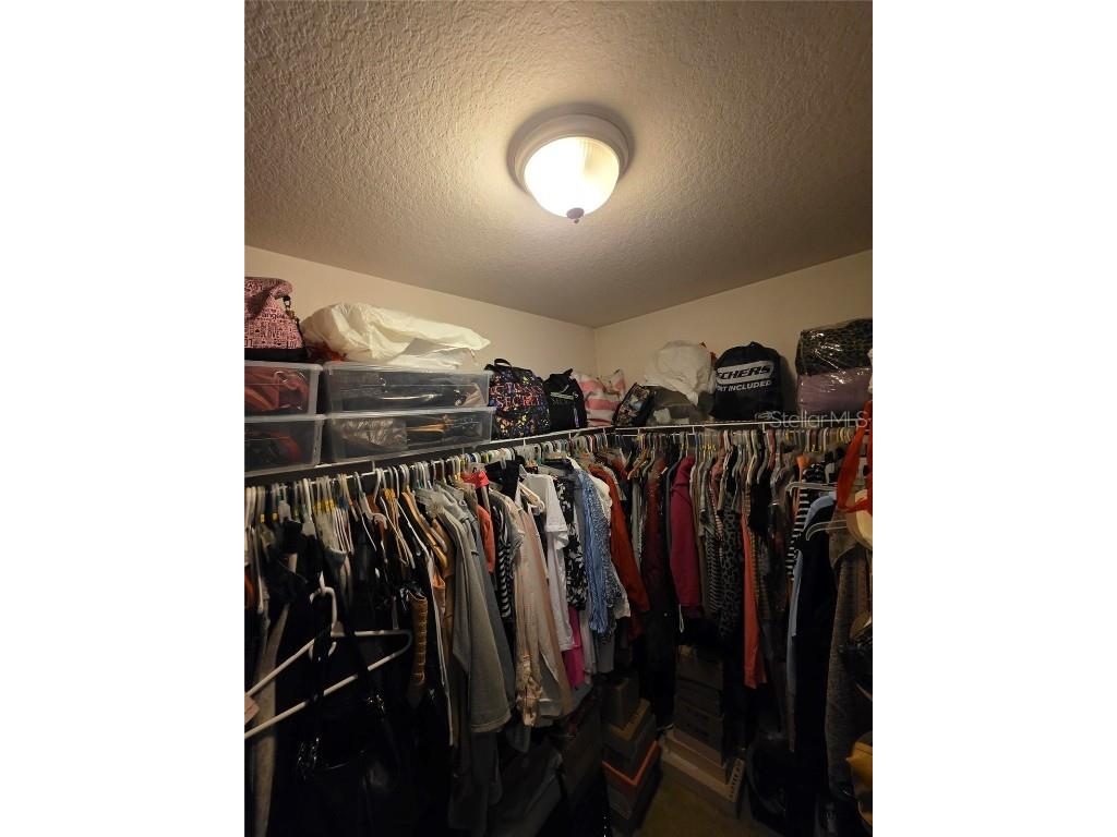 14313 Haddon Mist Drive Wimauma FL 33598 O6368591 image11