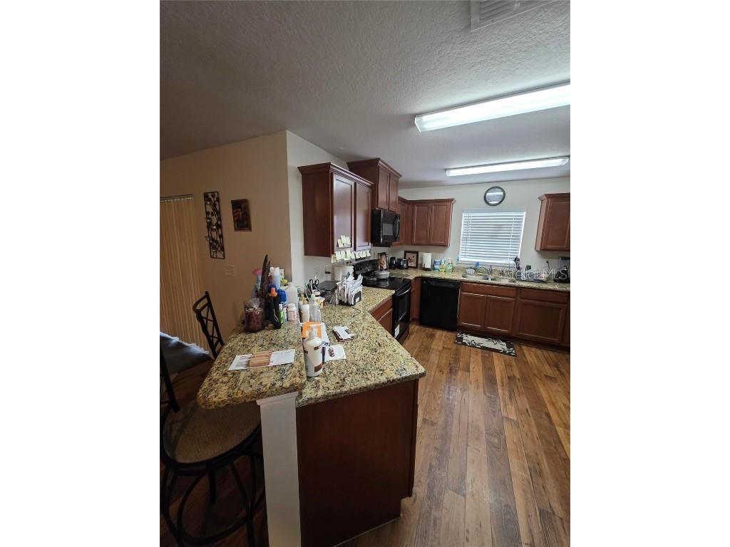 14313 Haddon Mist Drive Wimauma FL 33598 O6368591 image2