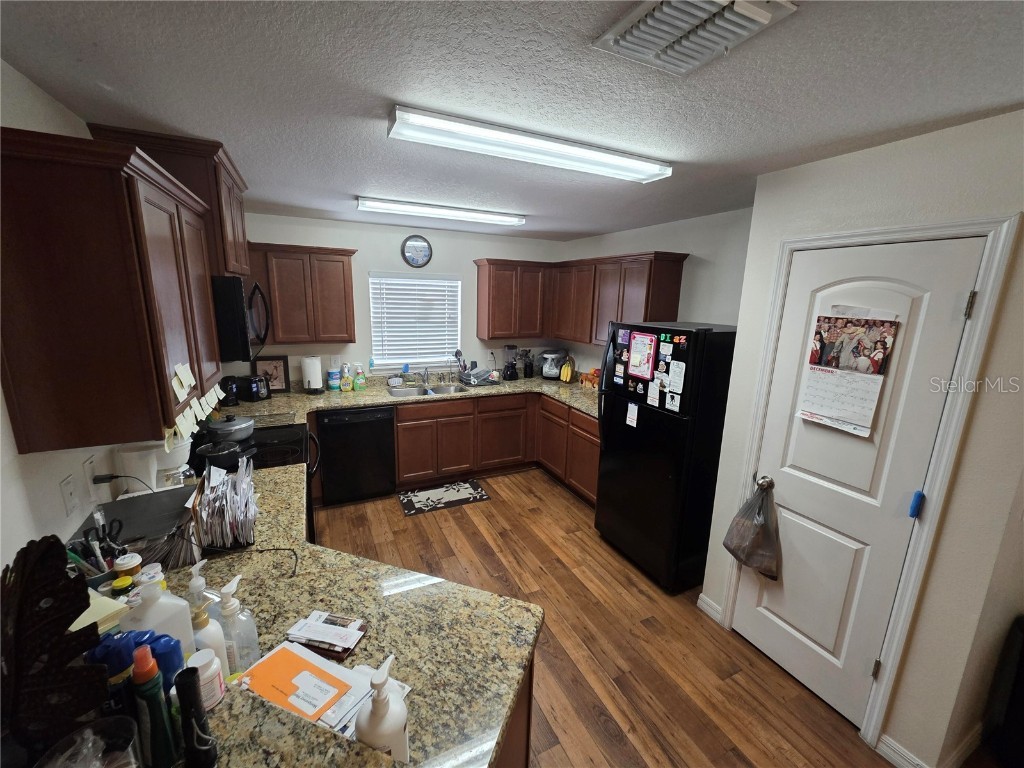 14313 Haddon Mist Drive Wimauma FL 33598 O6368591 image3