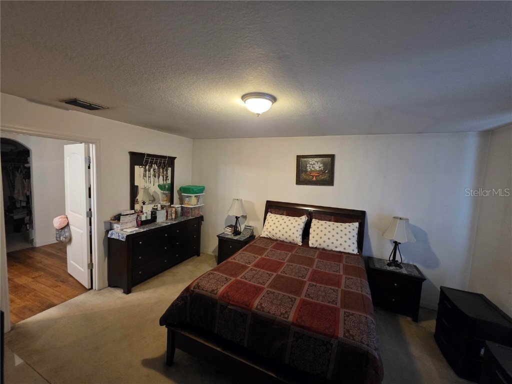 14313 Haddon Mist Drive Wimauma FL 33598 O6368591 image5