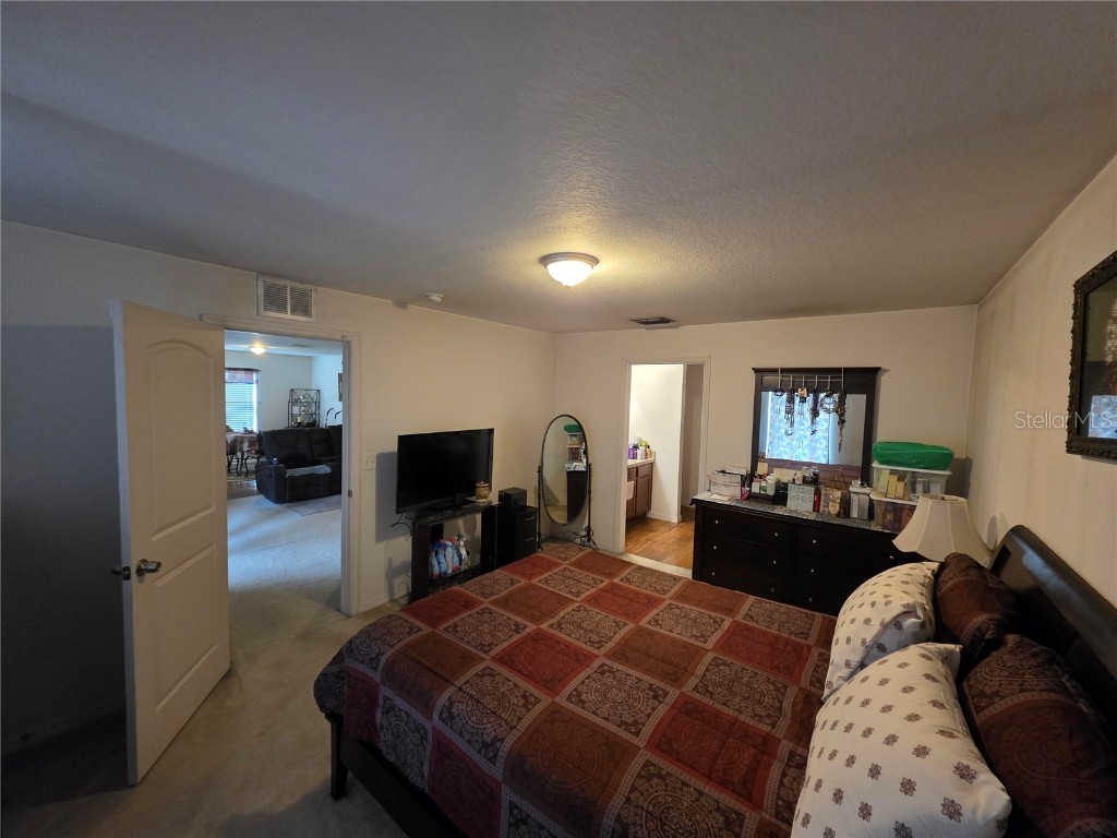 14313 Haddon Mist Drive Wimauma FL 33598 O6368591 image6