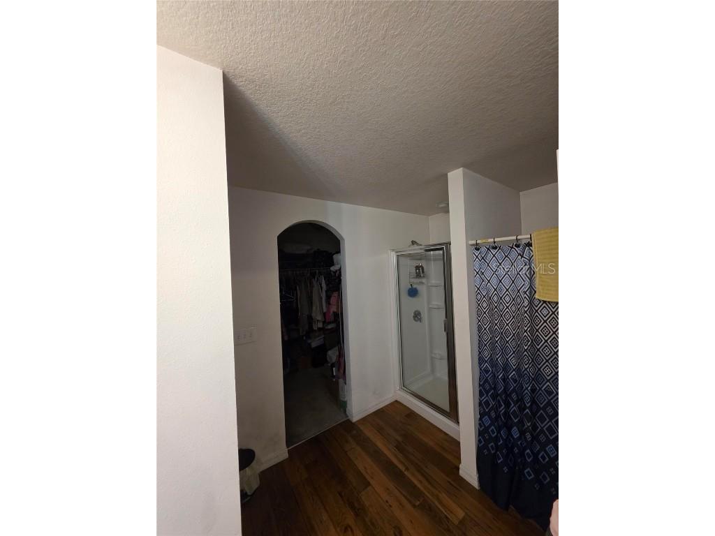 14313 Haddon Mist Drive Wimauma FL 33598 O6368591 image7