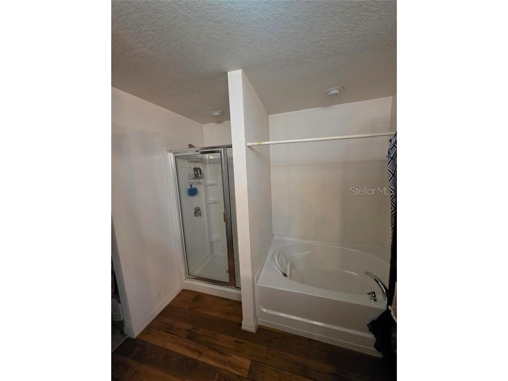 14313 Haddon Mist Drive Wimauma FL 33598 O6368591 image8