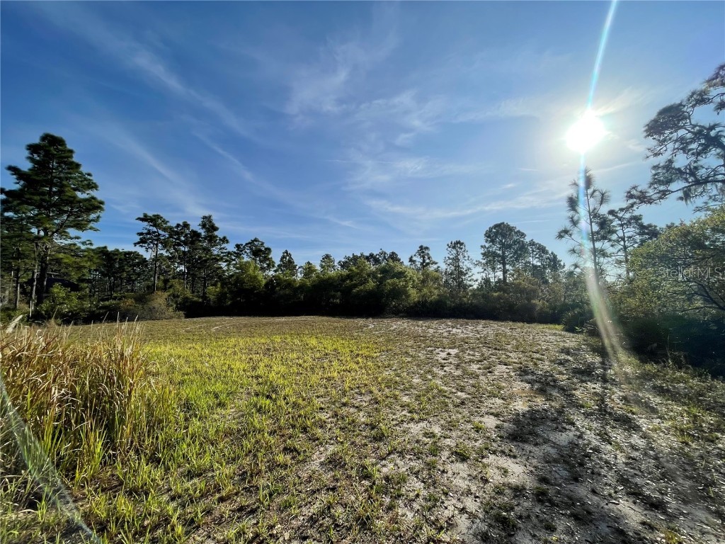 14315 Bella Lane Orlando FL 32832 O6209807 image1