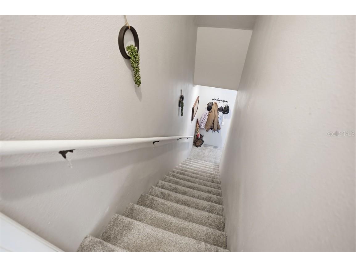 14315 Family Trail Hudson FL 34669 W7880839 image21