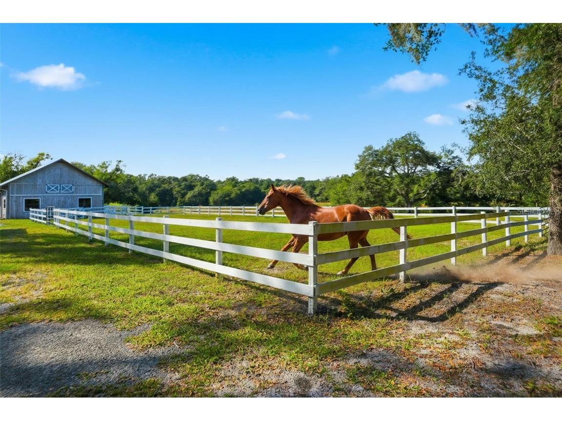 14315 Family Trail Hudson FL 34669 W7880839 image3