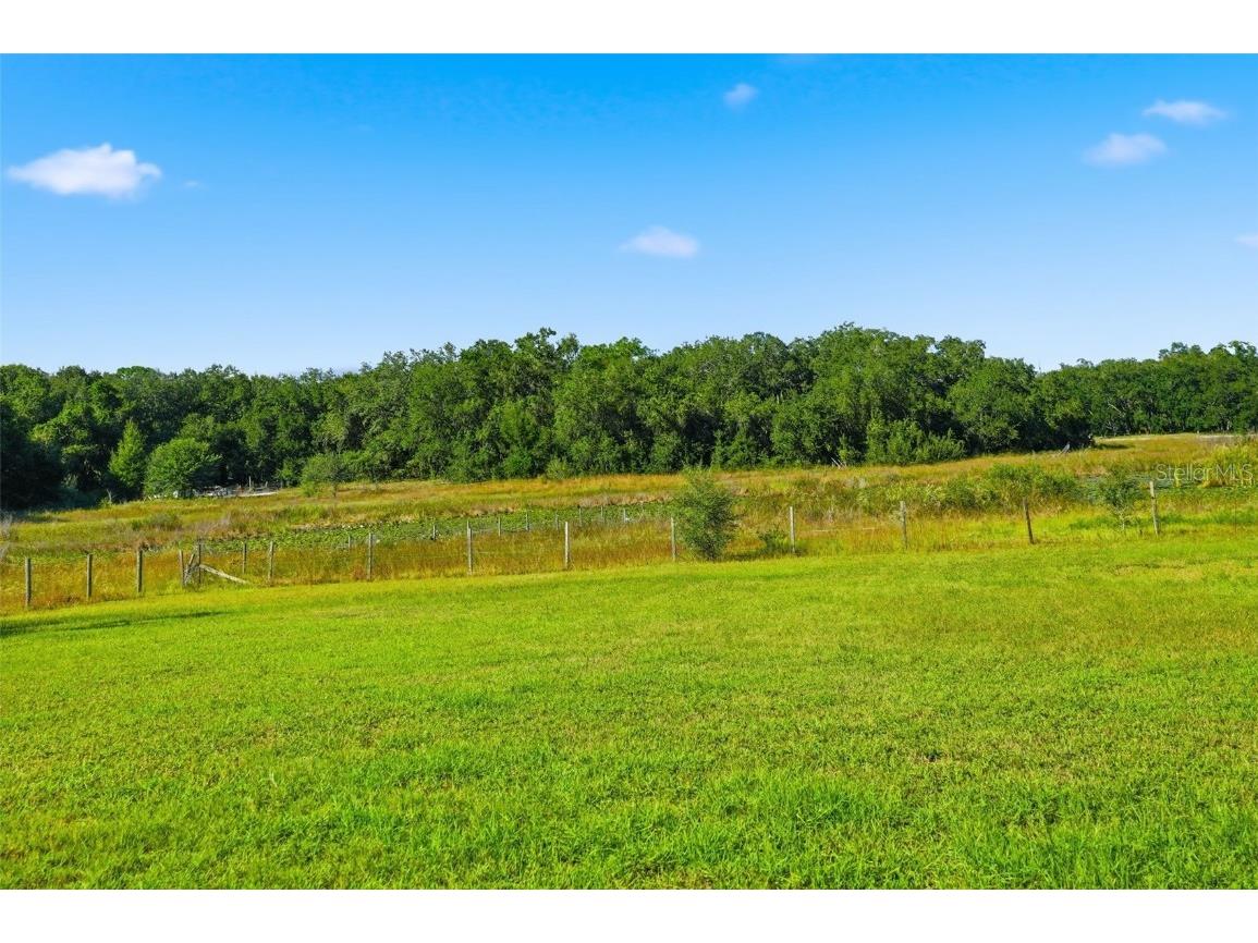 14315 Family Trail Hudson FL 34669 W7880839 image57