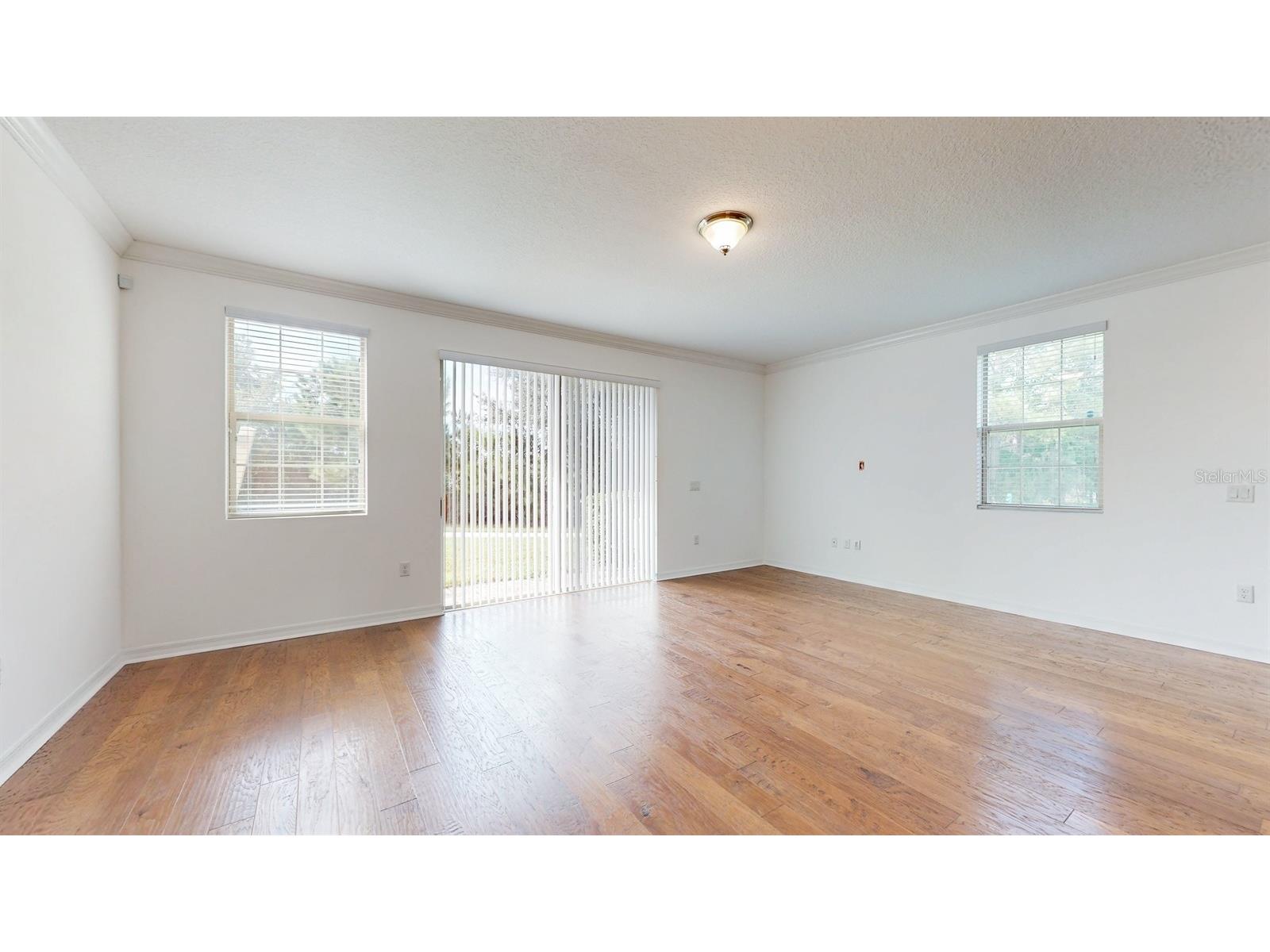 14315 Swanley Street Orlando FL 32832 S5142859 image6