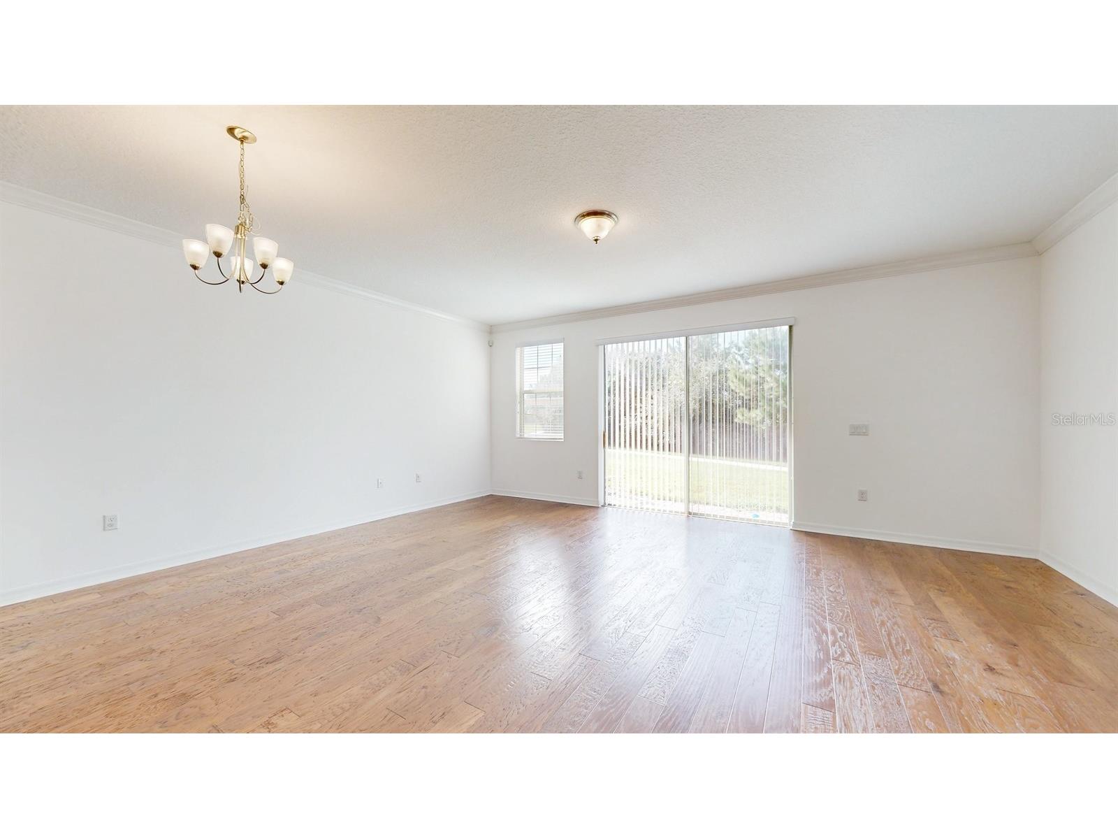 14315 Swanley Street Orlando FL 32832 S5142859 image7