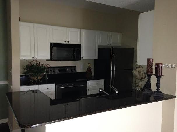 14316 Fredricksburg Drive #518 Orlando FL 32837 O6348700 image5