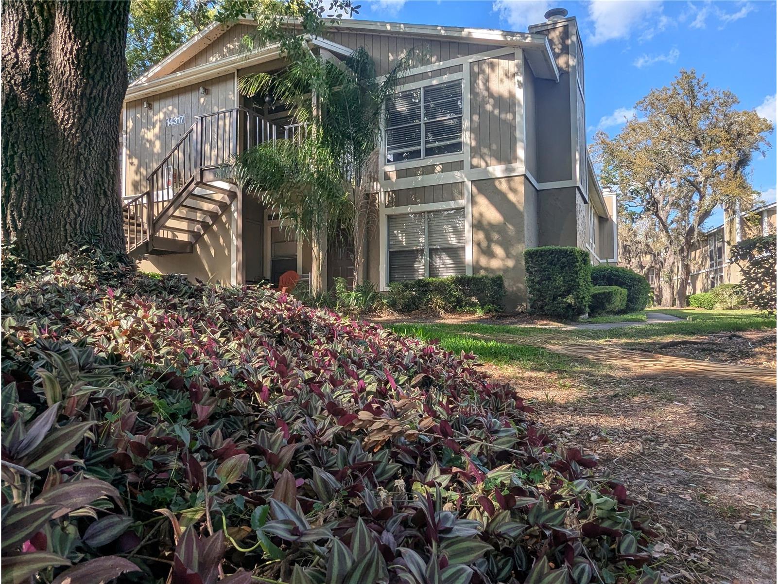 14317 Hanging Moss Circle #101 Tampa FL 33613 TB8508816 image1