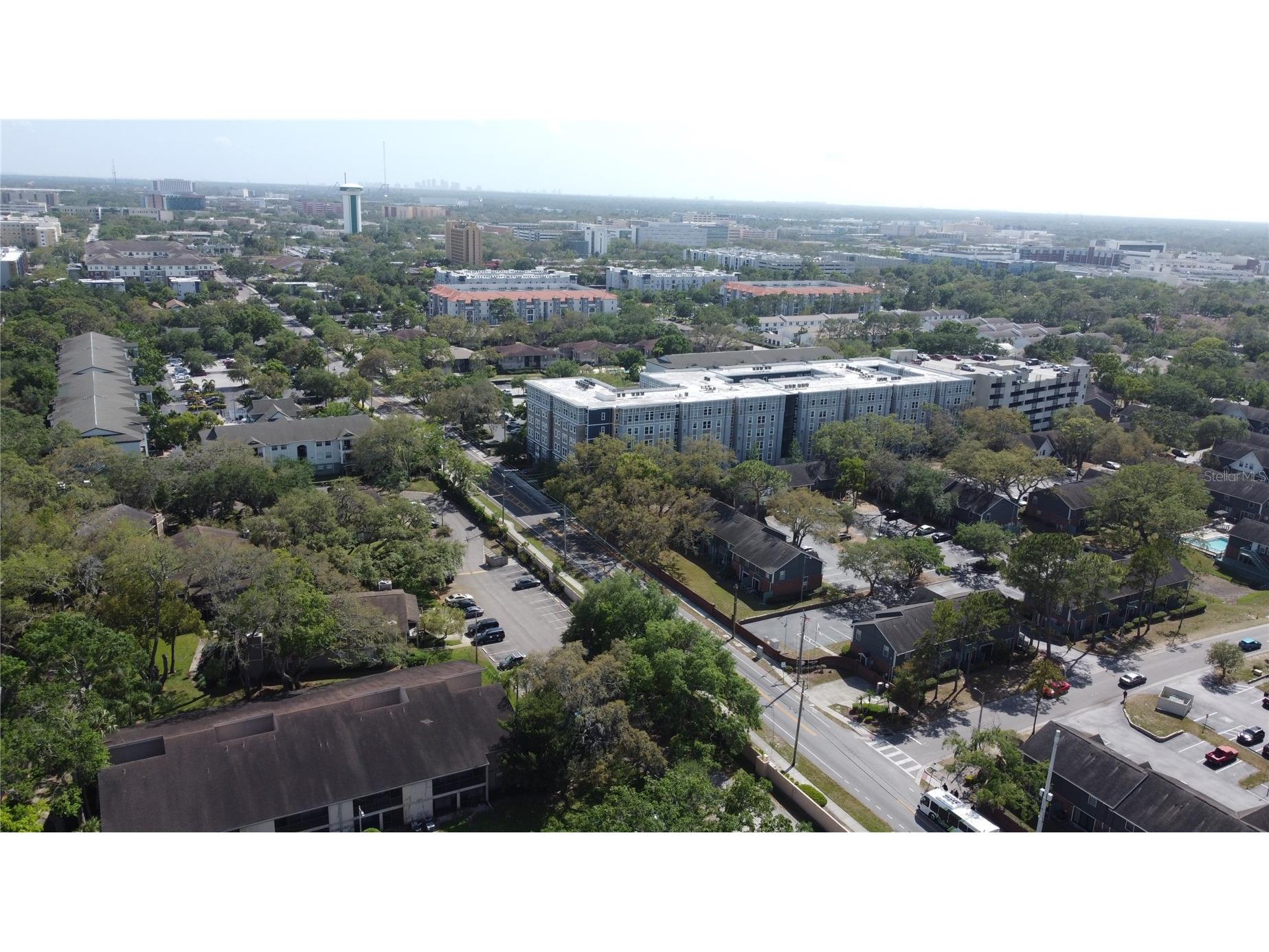 14317 Hanging Moss Circle #101 Tampa FL 33613 TB8508816 image14