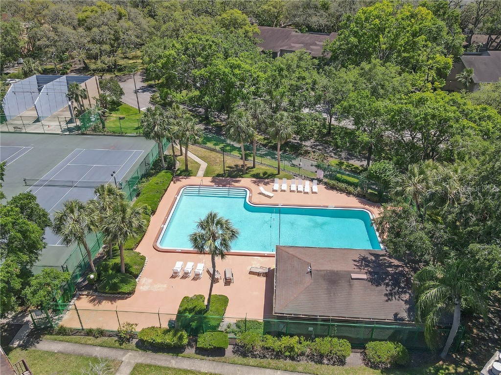 14317 Hanging Moss Circle #202 Tampa FL 33613 TB8382330 image13