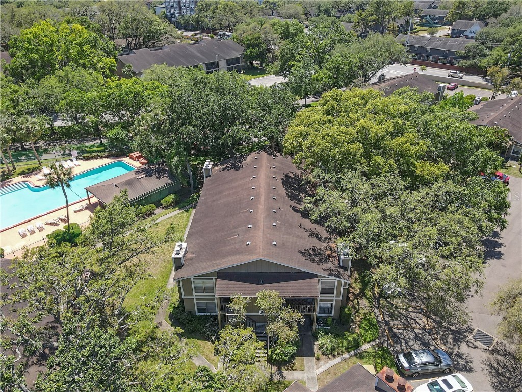 14317 Hanging Moss Circle #202 Tampa FL 33613 TB8382330 image14