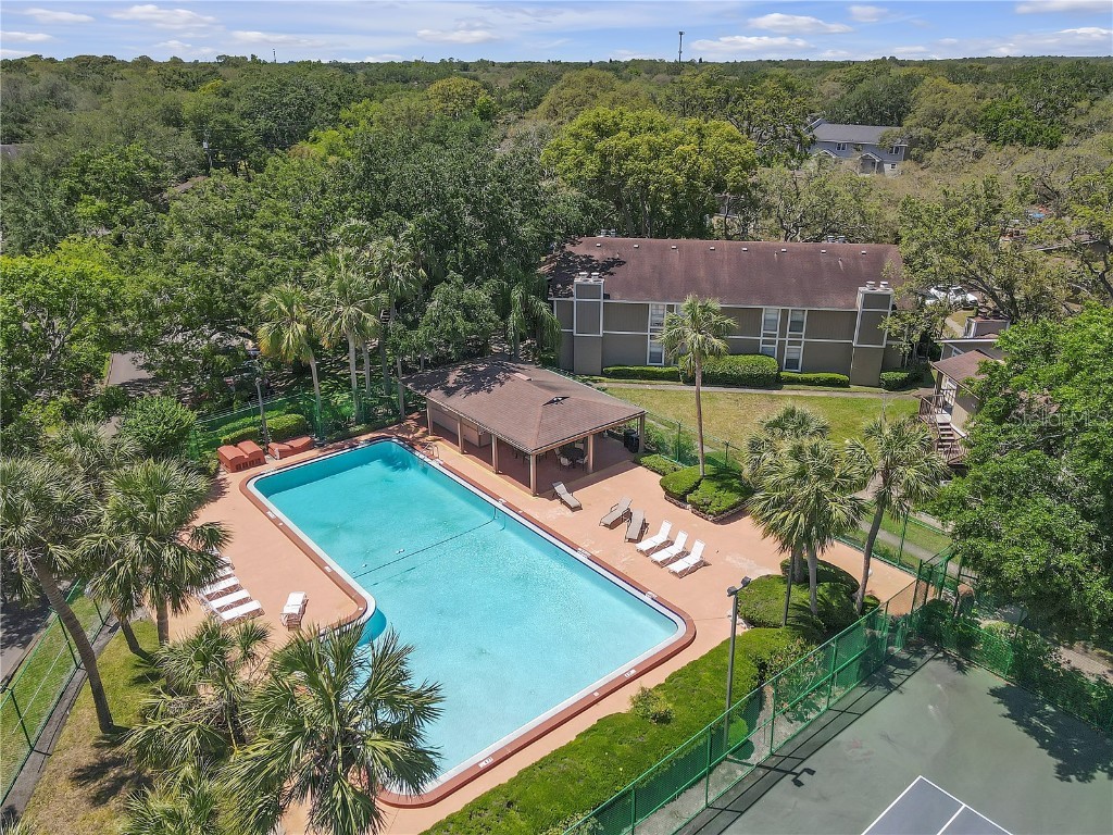 14317 Hanging Moss Circle #202 Tampa FL 33613 TB8382330 image17