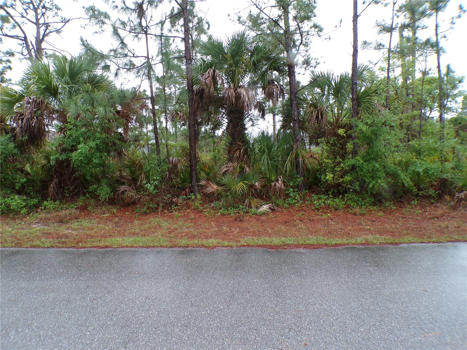 14317 Harcourt Avenue Port Charlotte FL 33953 C7524555 image1
