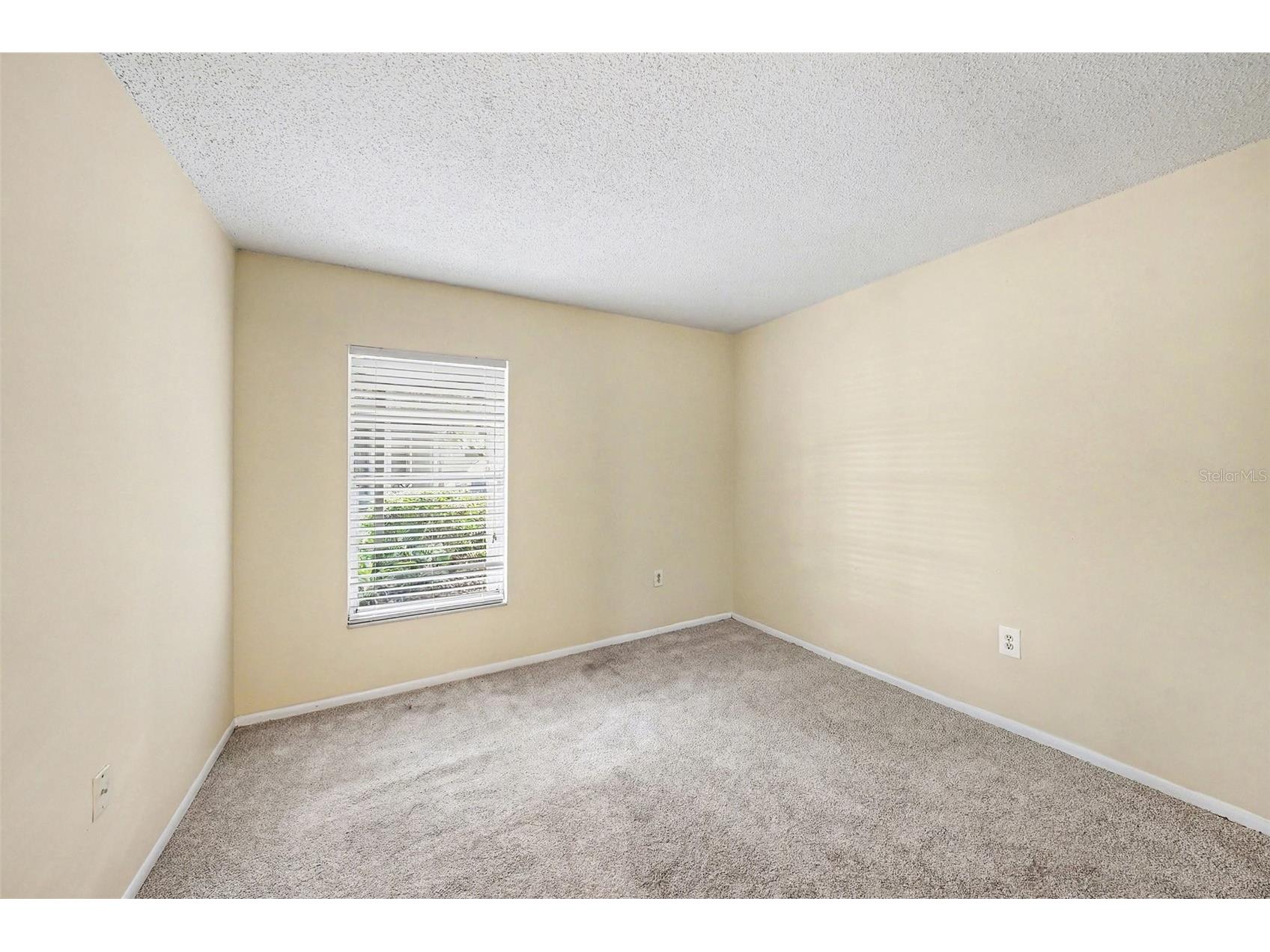 14319 Hanging Moss Circle #101 Tampa FL 33613 TB8485608 image16