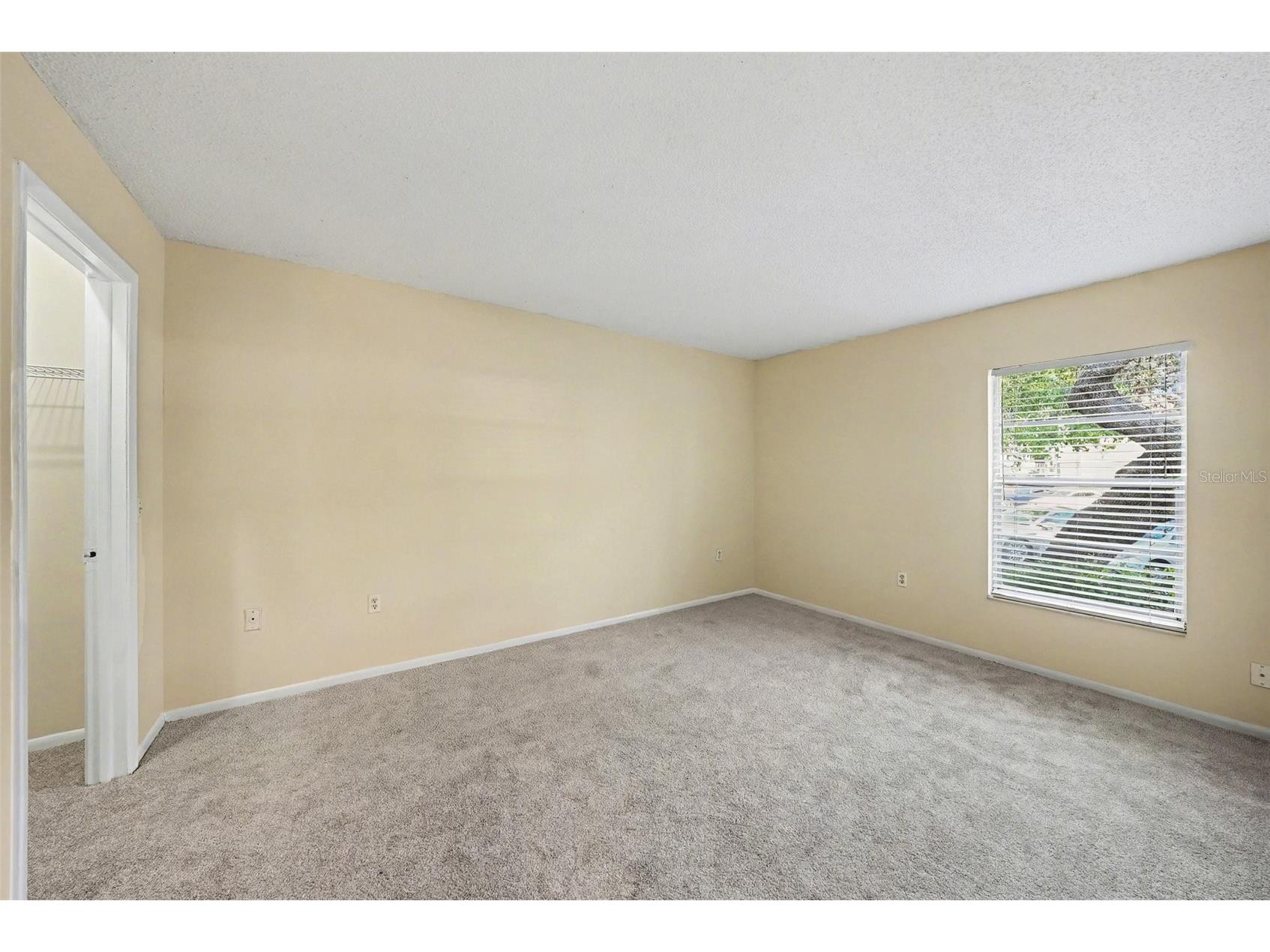 14319 Hanging Moss Circle #101 Tampa FL 33613 TB8485608 image23