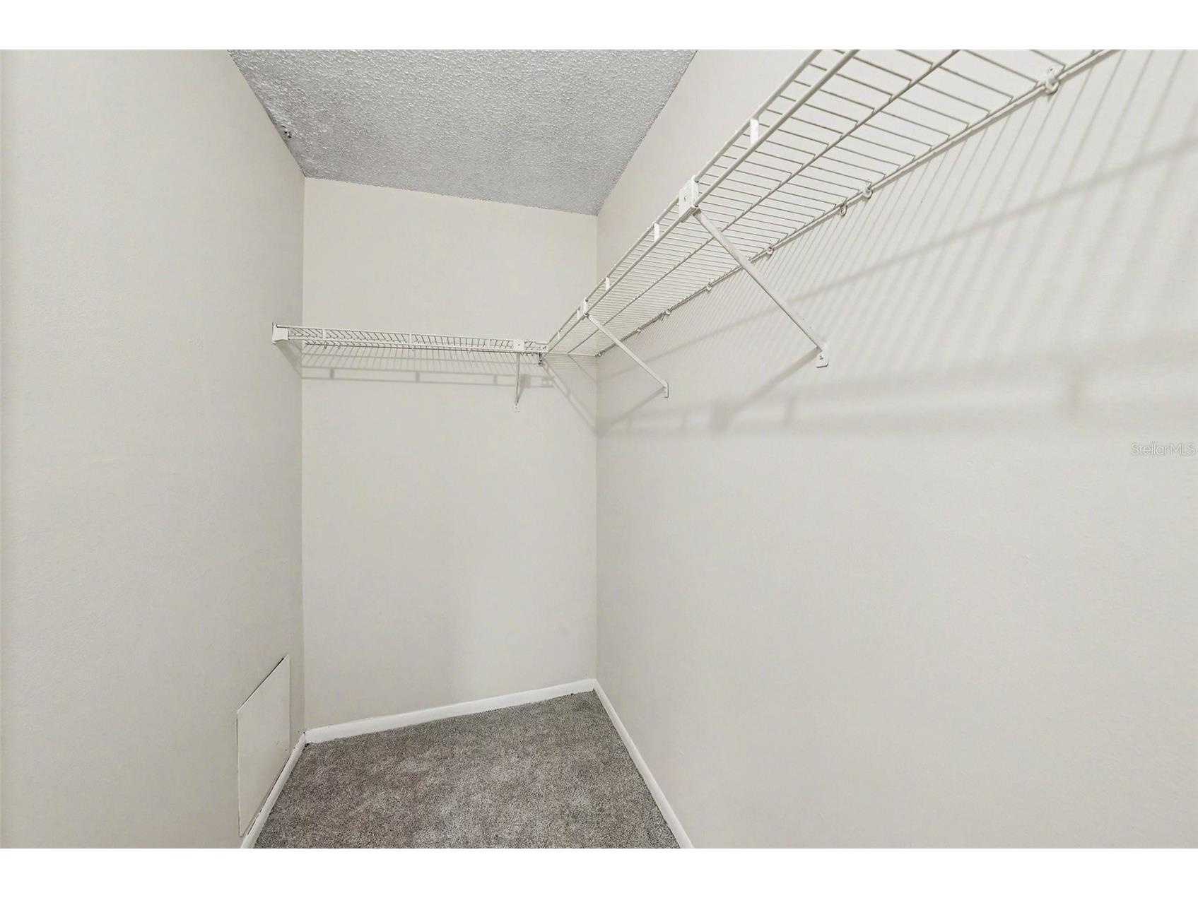 14319 Hanging Moss Circle #101 Tampa FL 33613 TB8485608 image26