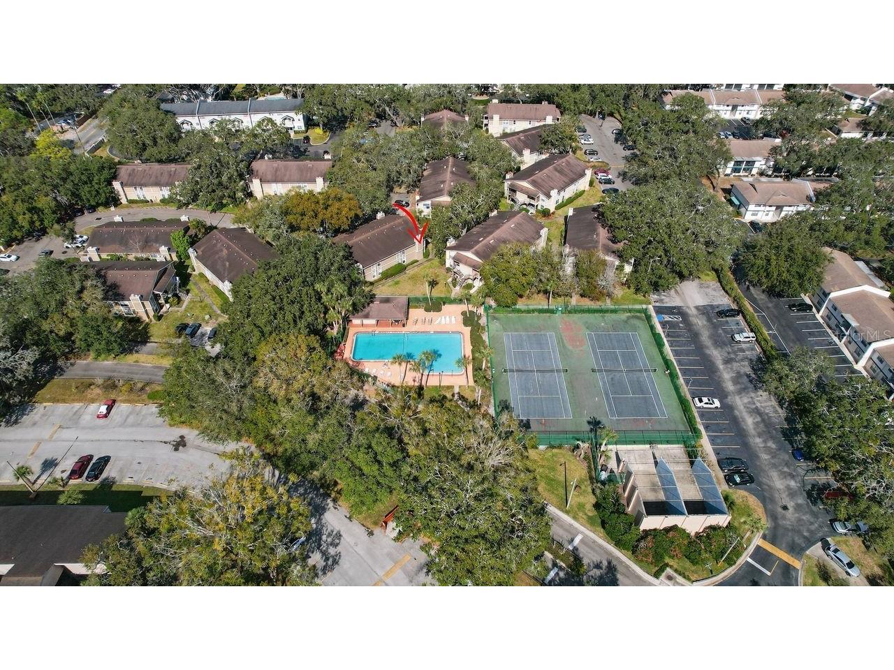 14319 Hanging Moss Circle #102 Tampa FL 33613 TB8467578 image2