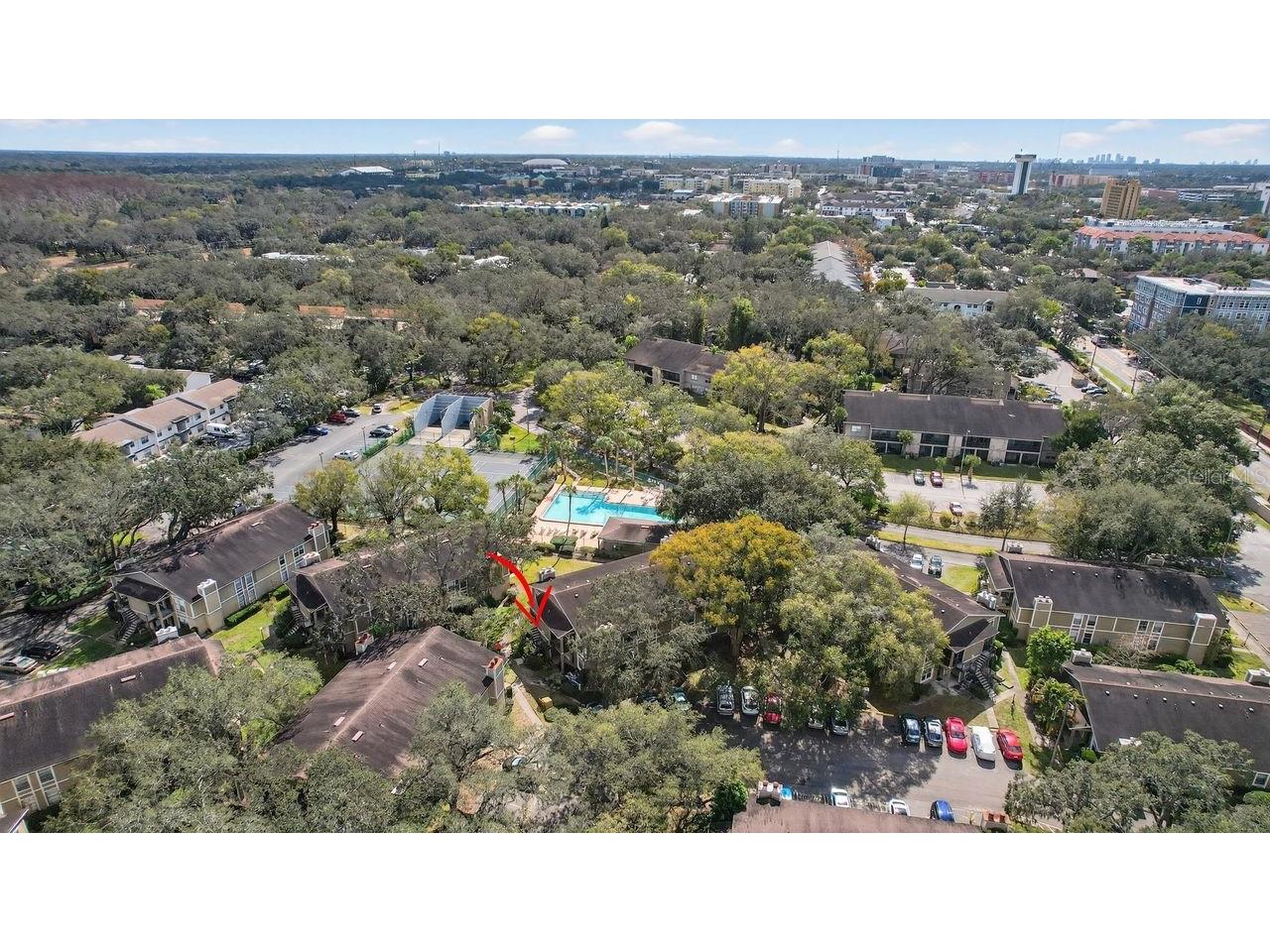 14319 Hanging Moss Circle #102 Tampa FL 33613 TB8467578 image28