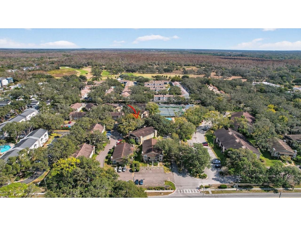 14319 Hanging Moss Circle #102 Tampa FL 33613 TB8467578 image30