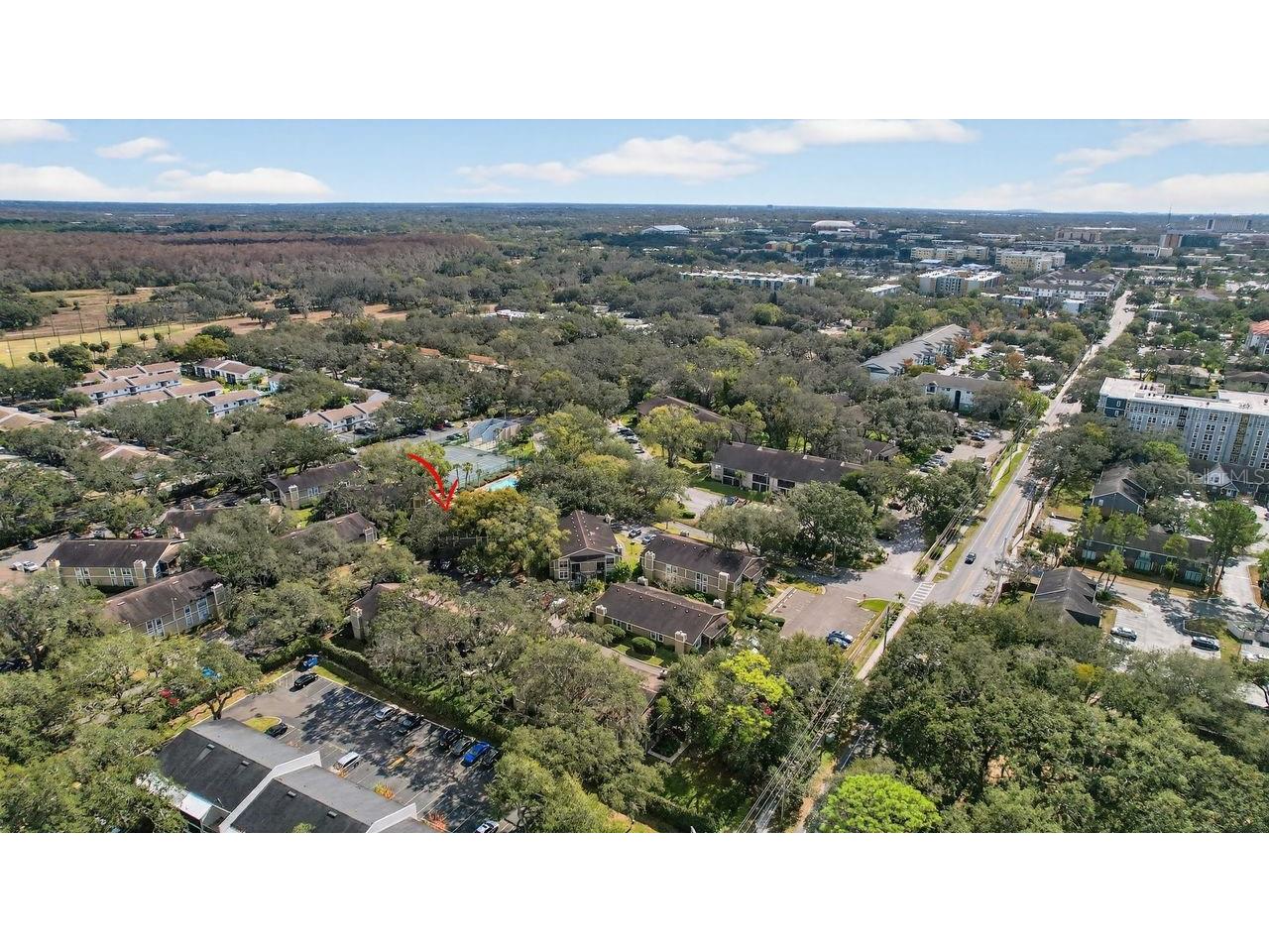 14319 Hanging Moss Circle #102 Tampa FL 33613 TB8467578 image31