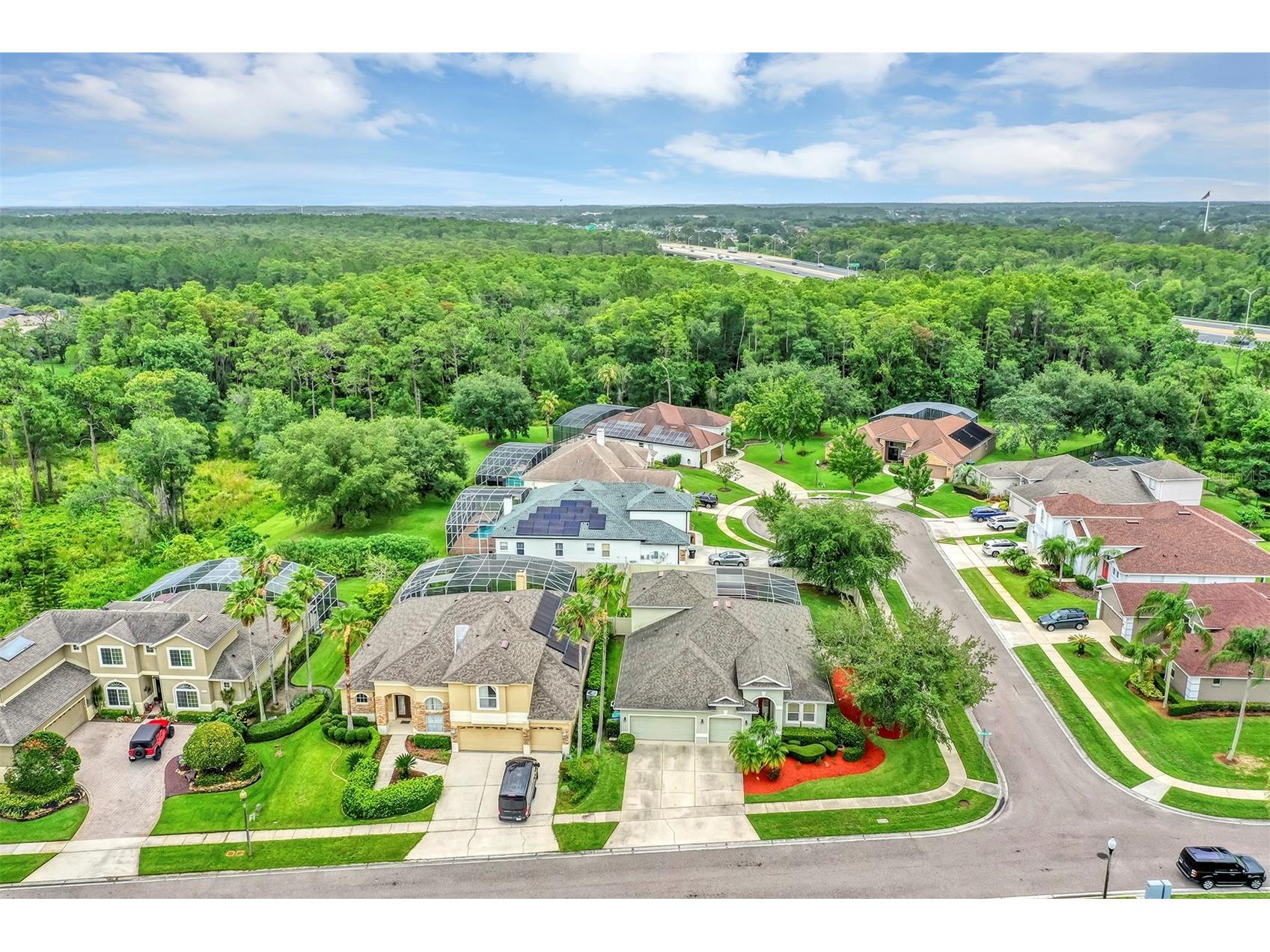 14319 Islamorada Drive Orlando FL 32837 O6370684 image49