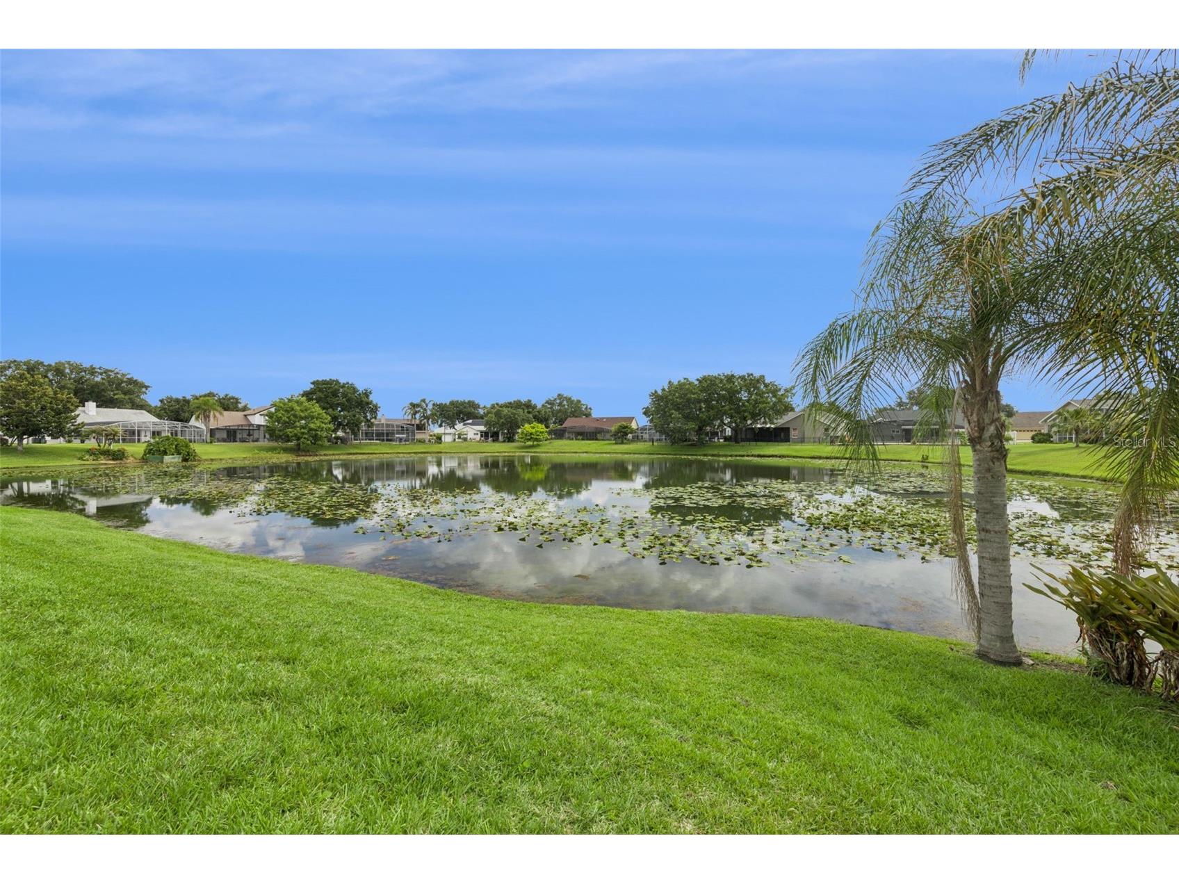 14319 Roxshire Drive Orlando FL 32837 O6416465 image37