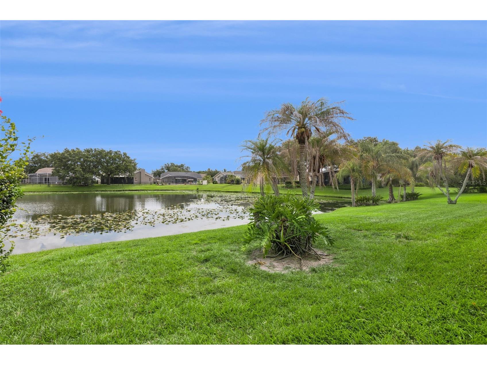 14319 Roxshire Drive Orlando FL 32837 O6416465 image38