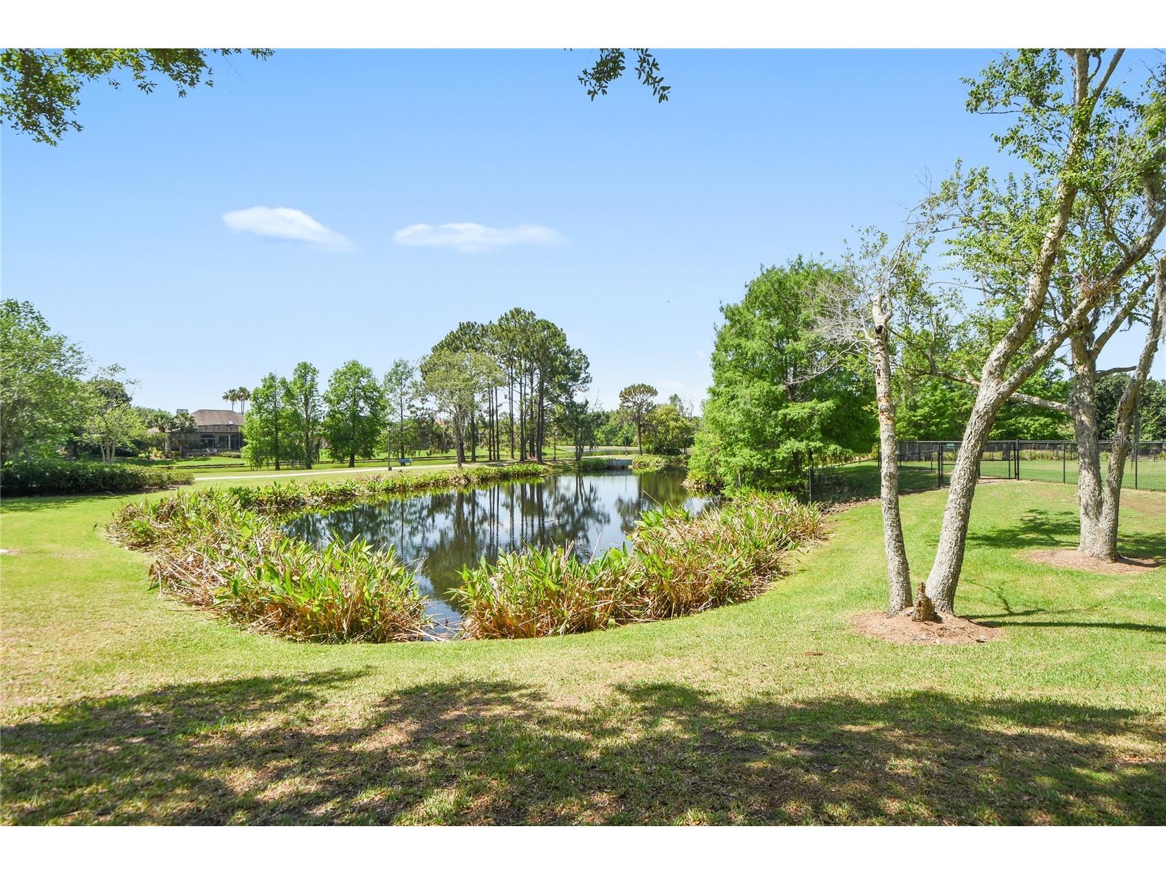14319 Roxshire Drive Orlando FL 32837 O6416465 image39