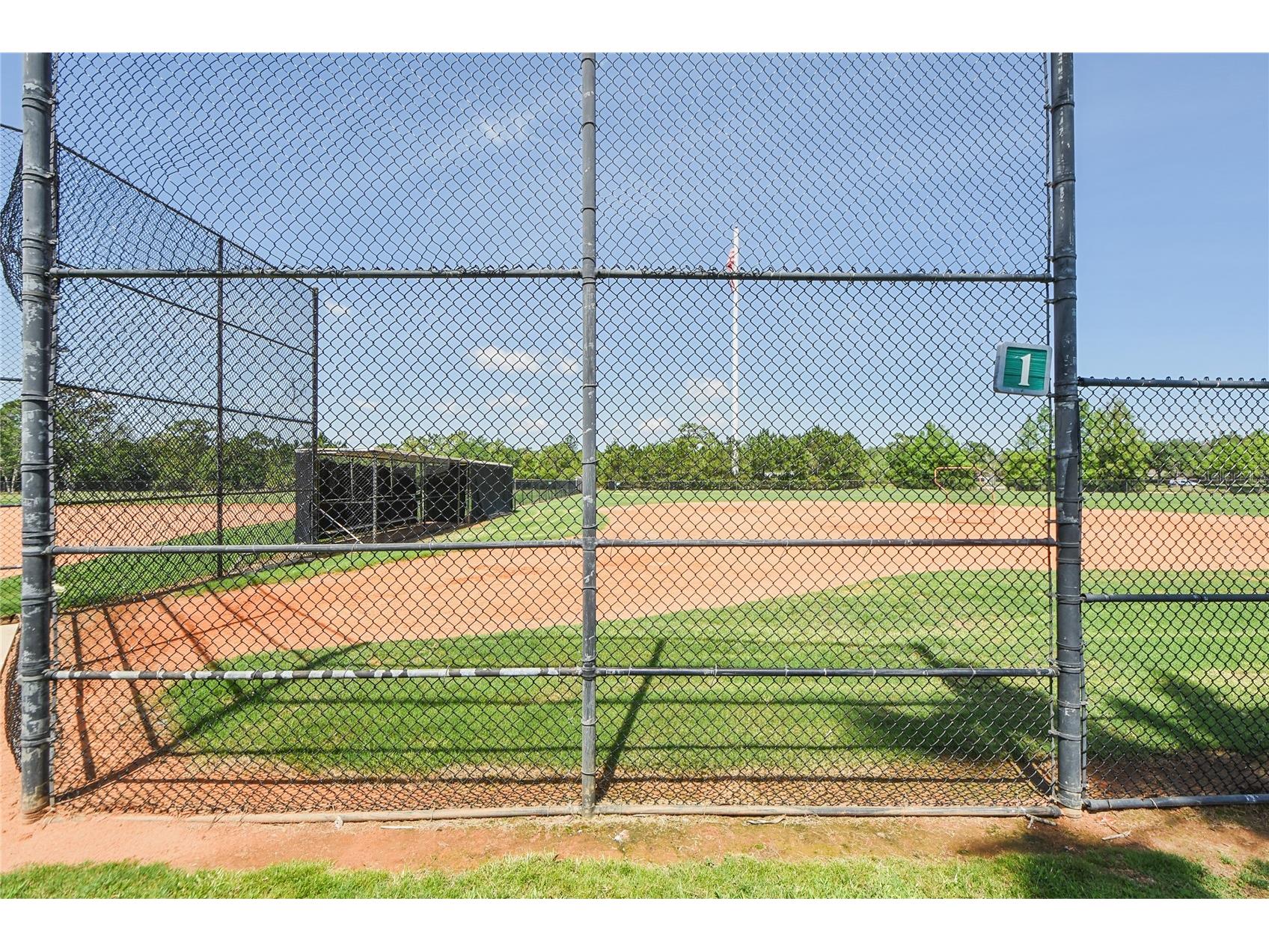 14319 Roxshire Drive Orlando FL 32837 O6416465 image40
