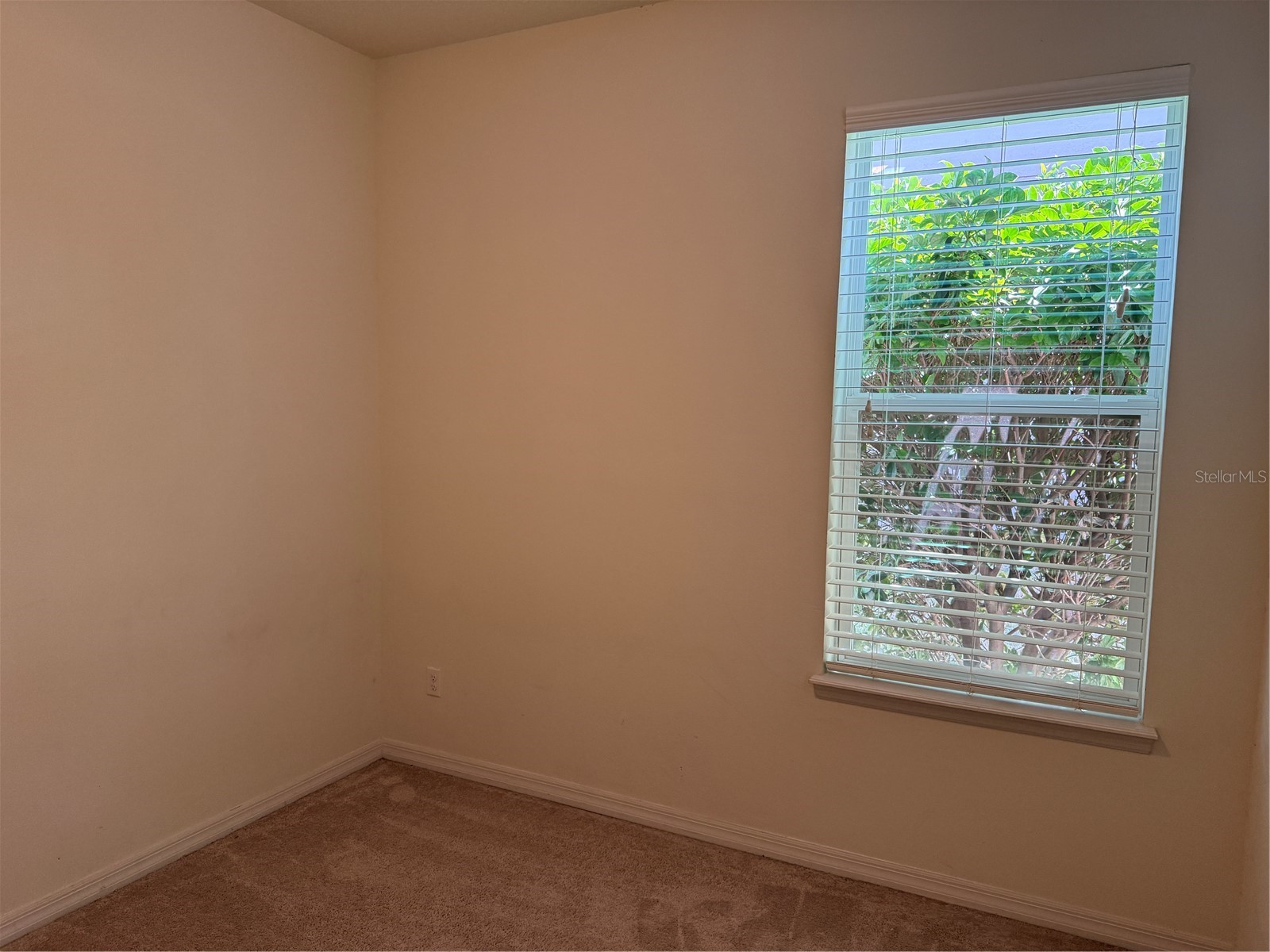 1432 Cabot Drive Clermont FL 34711 G5111786 image13