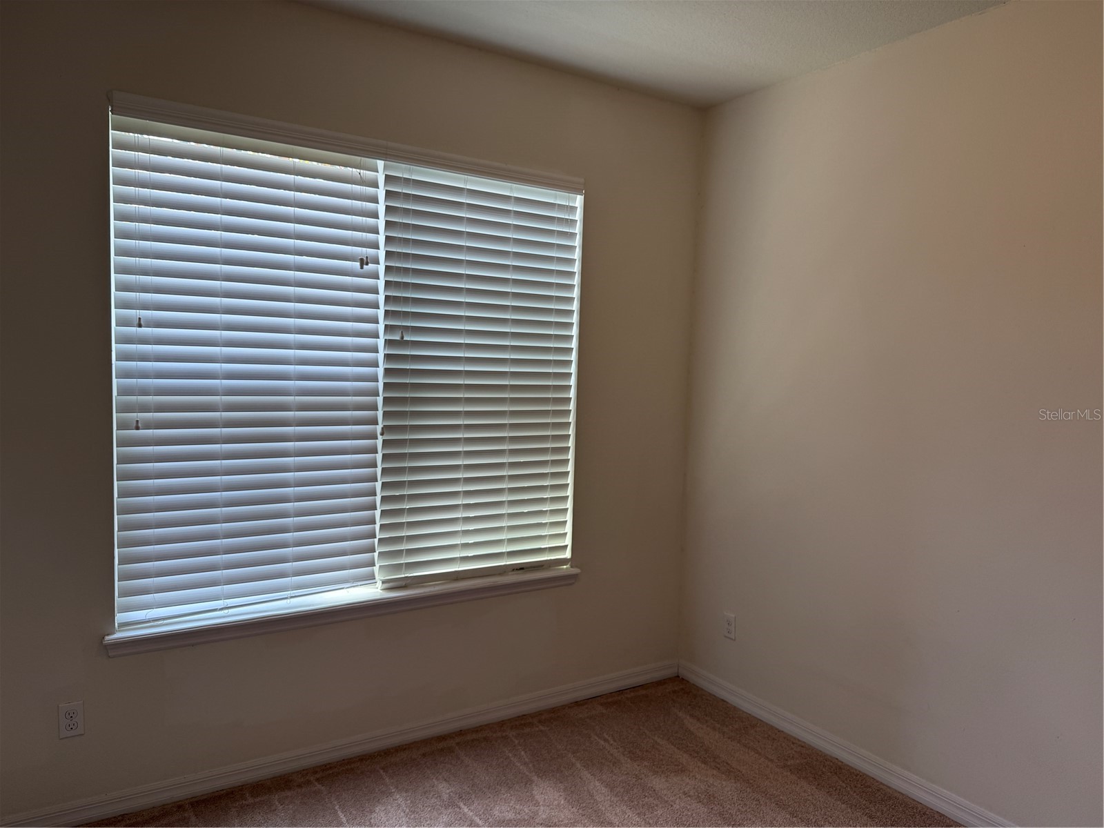 1432 Cabot Drive Clermont FL 34711 G5111786 image4
