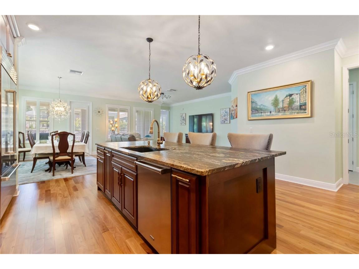 1432 Gopher Loop Tarpon Springs FL 34689 TB8379407 image12