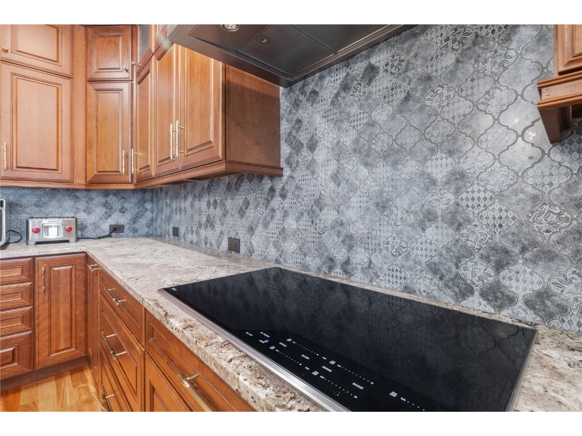 1432 Gopher Loop Tarpon Springs FL 34689 TB8379407 image13