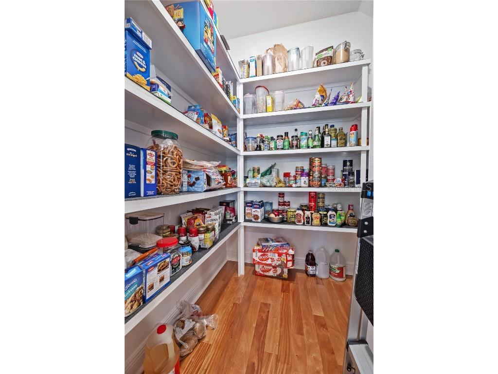 1432 Gopher Loop Tarpon Springs FL 34689 TB8379407 image17