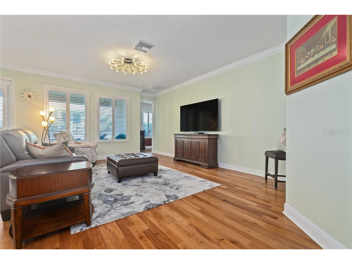 1432 Gopher Loop Tarpon Springs FL 34689 TB8379407 image22