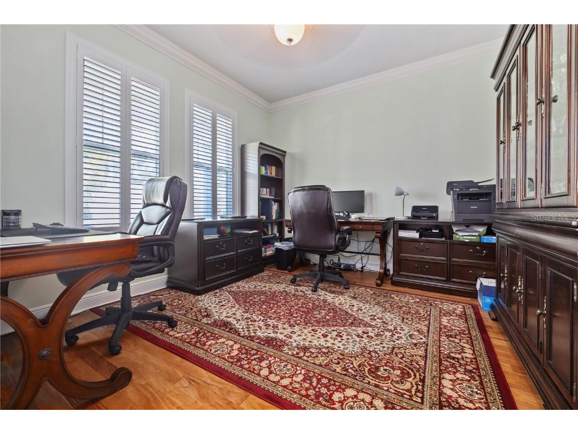 1432 Gopher Loop Tarpon Springs FL 34689 TB8379407 image28