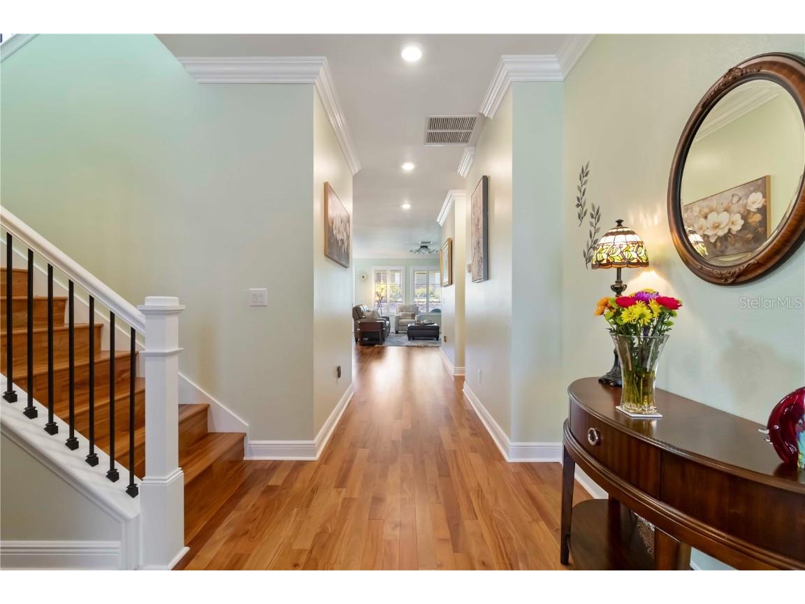 1432 Gopher Loop Tarpon Springs FL 34689 TB8379407 image6