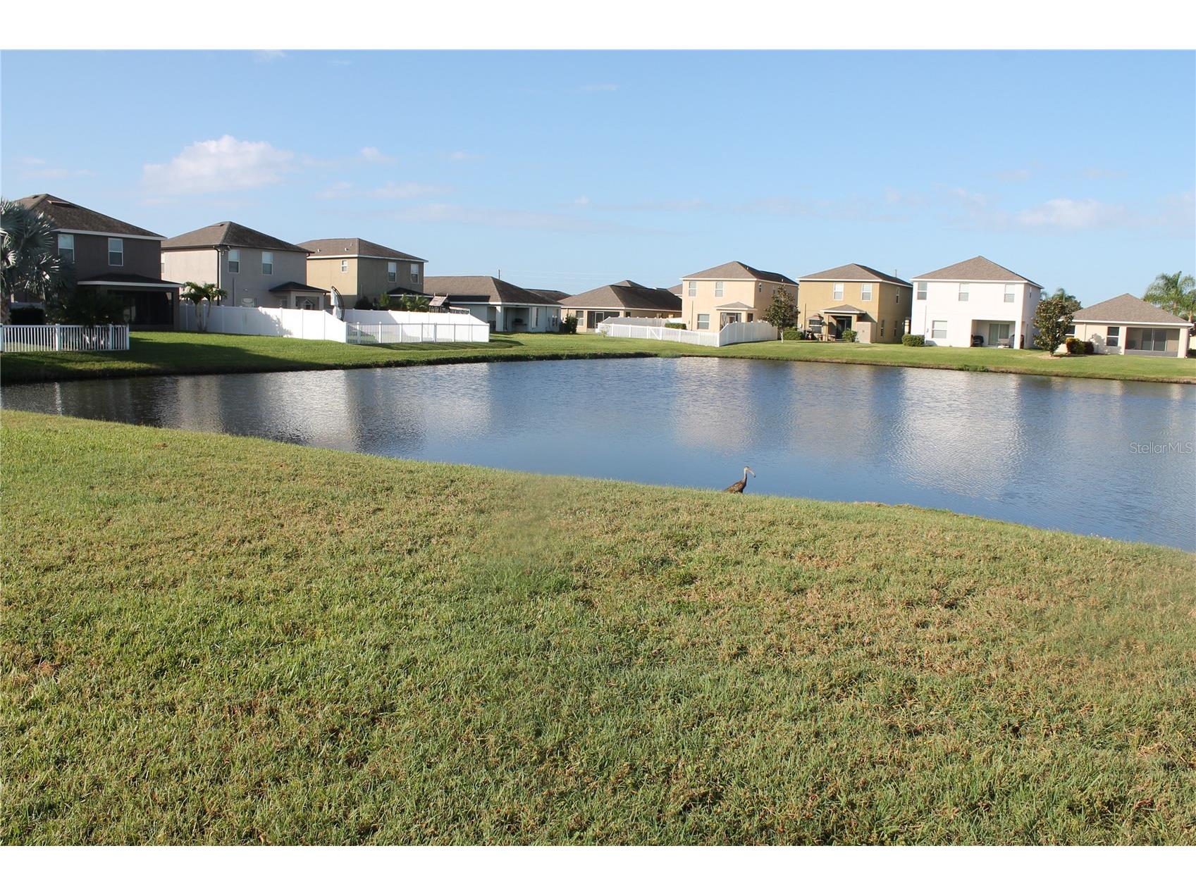 1432 Harbour Blue Street Ruskin FL 33570 TB8449522 image4