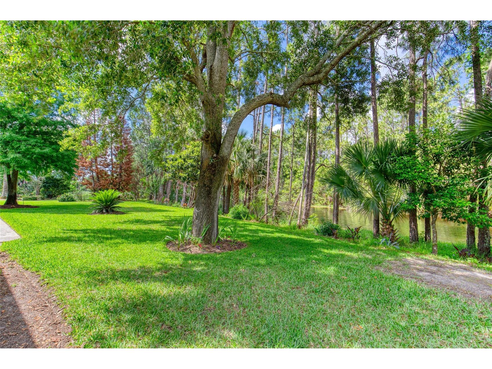 1432 Kinnard Circle Ormond Beach FL 32174 V4949189 image45