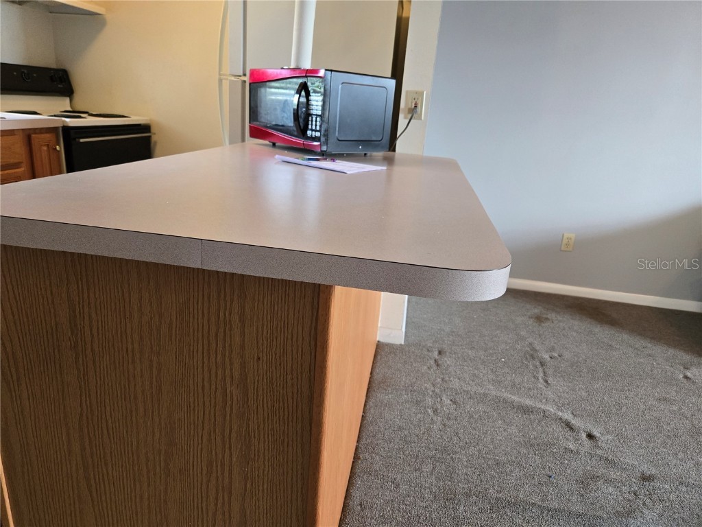 1432 Thousand Roses Drive S Lake Wales FL 33853 P4933834 image8