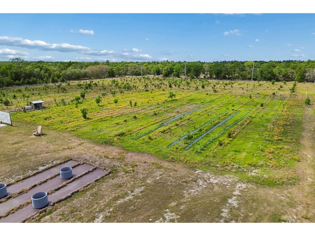 14320 Family Trail Hudson FL 34669 TB8501552 image38