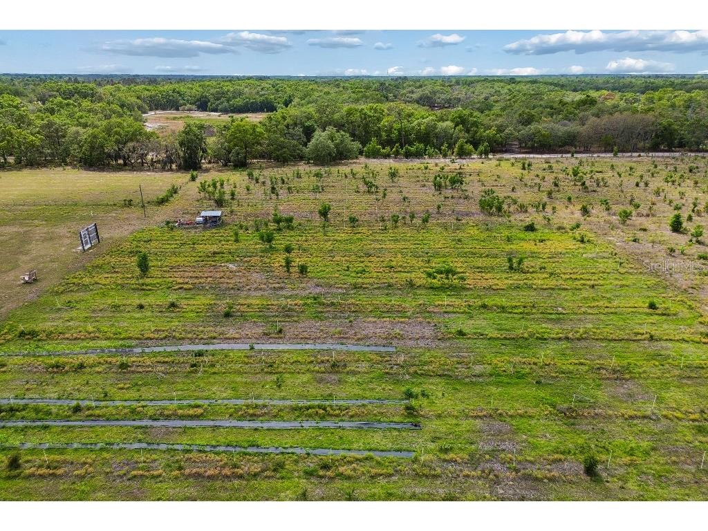 14320 Family Trail Hudson FL 34669 TB8501552 image39