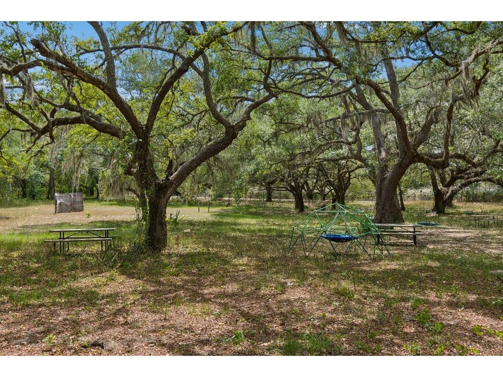 14320 Family Trail Hudson FL 34669 TB8501552 image54