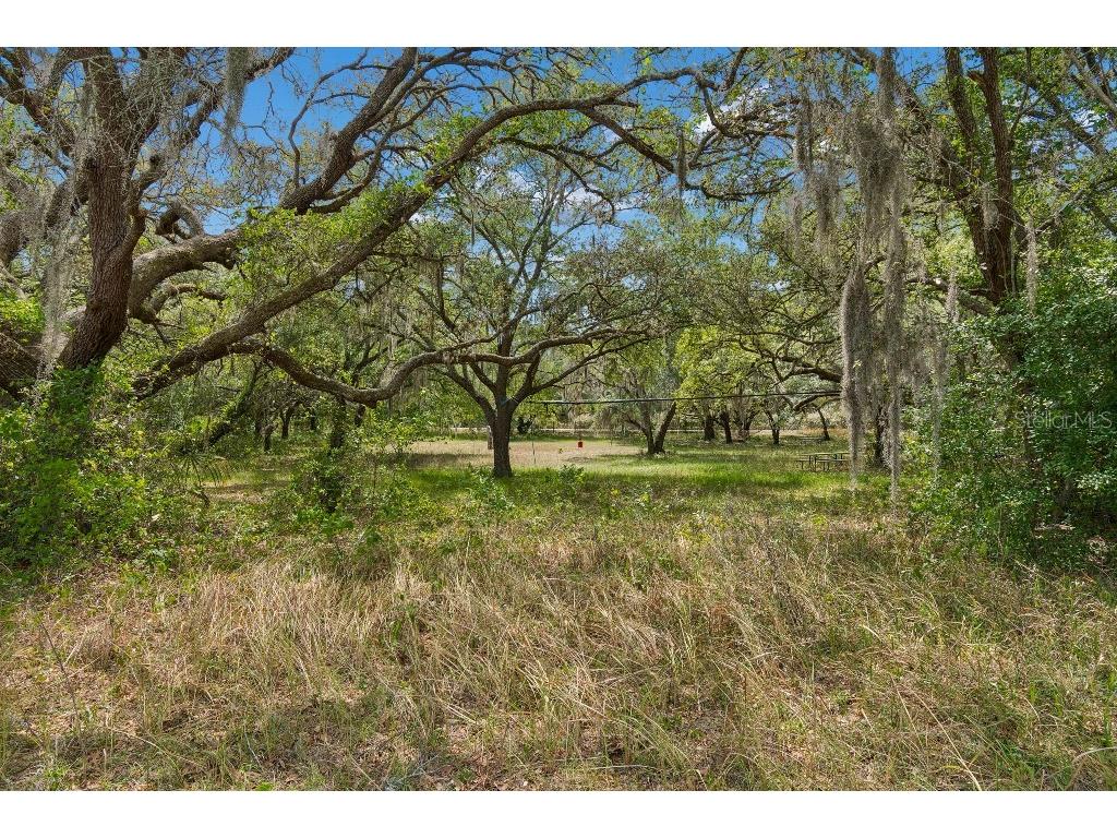 14320 Family Trail Hudson FL 34669 TB8501552 image55