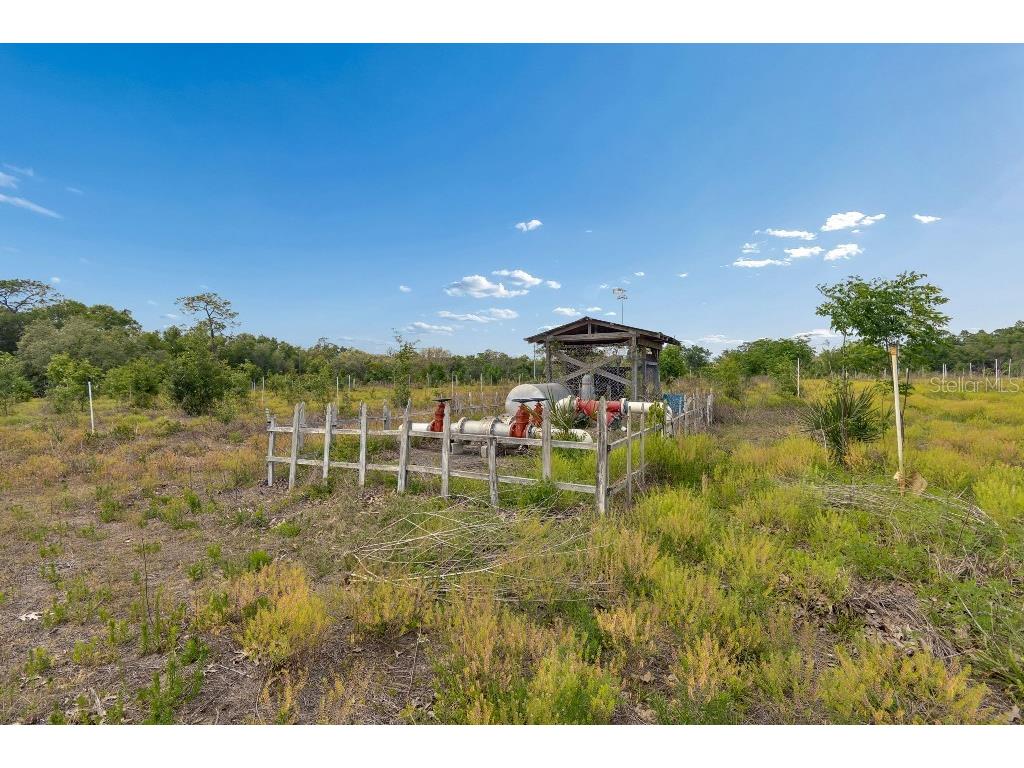 14320 Family Trail Hudson FL 34669 TB8501552 image57