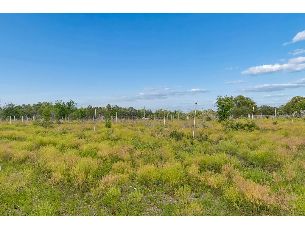 14320 Family Trail Hudson FL 34669 TB8501552 image58