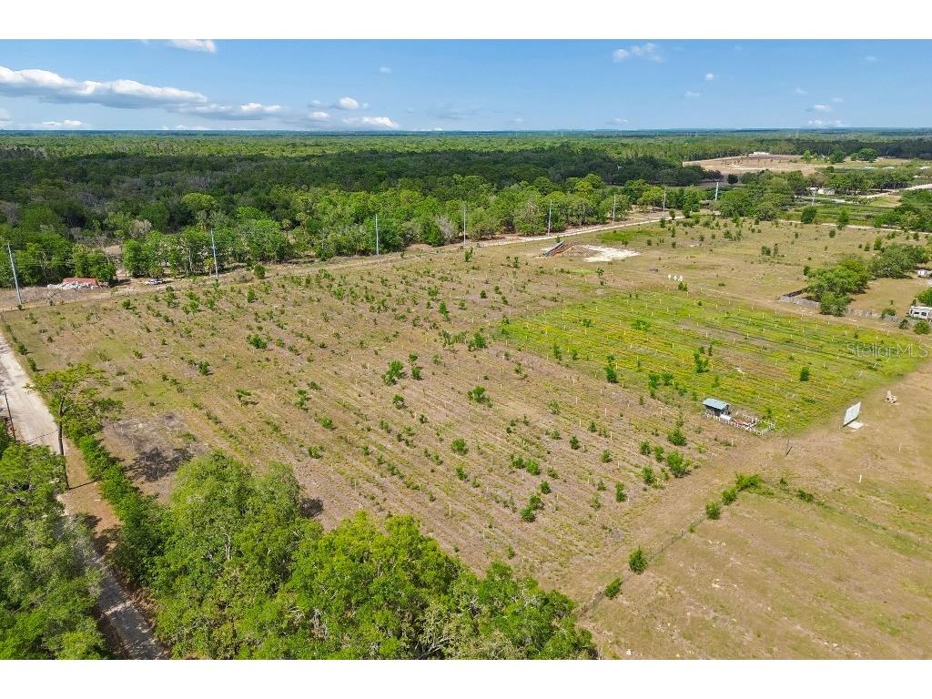 14320 Family Trail Hudson FL 34669 TB8501552 image63